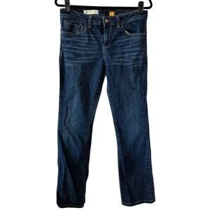 Anthropologie x Pilcro Stet bootcut Jeans size 29